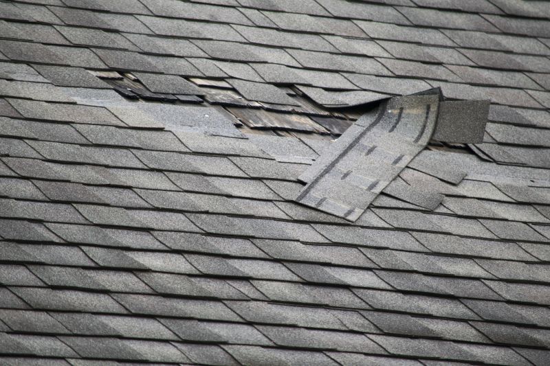 Damaged Roof Shingles